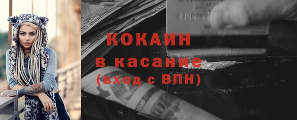 сатива Абаза