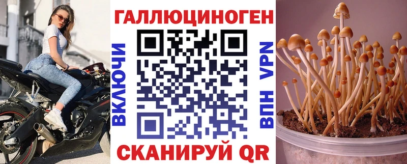 OMG онион  Курлово  Галлюциногенные грибы Cubensis 